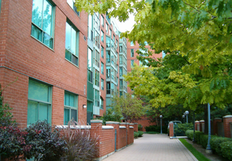 Dunhill Club legacy img