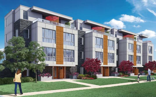 The Forestview Towns